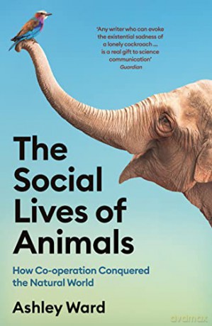Social Lives Of Animals - Ashley Ward [KSIĄŻKA]