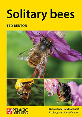 Solitary Bees - Ten Benton [KSIĄŻKA]