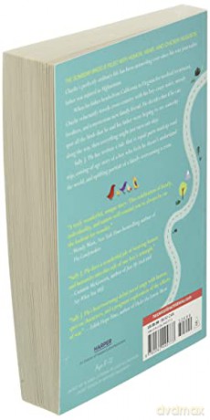 Someday Birds, The - Sally J. Pla [KSIĄŻKA]