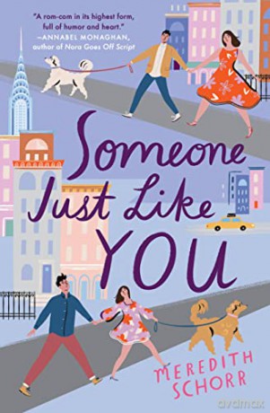 Someone Just Like You - Meredith Schorr [KSIĄŻKA]