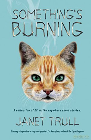 Somethings Burning - Janet Trull [KSIĄŻKA]