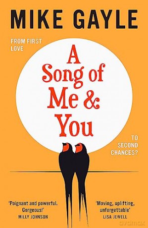 Song Of Me And You - Mike Gayle [KSIĄŻKA]