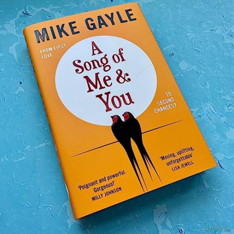 Song Of Me And You - Mike Gayle [KSIĄŻKA]