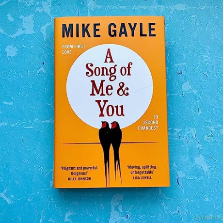 Song Of Me And You - Mike Gayle [KSIĄŻKA]