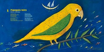 Songs From A Journey With A Parrot - Magdeleine Lerasle [KSIĄŻKA]
