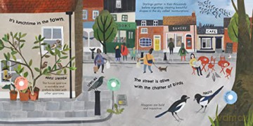 Songs Of The Birds - Isabel Otter [KSIĄŻKA]
