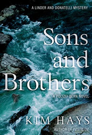 Sons Brothers - Kim Hays [KSIĄŻKA]