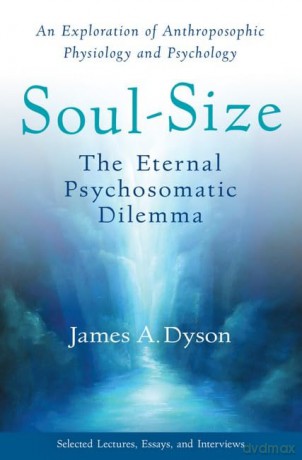 Soul-Size - James A. Dyson [KSIĄŻKA]