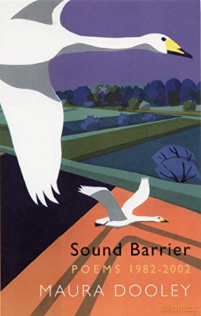 Sound Barrier - Dooley Maura [KSIĄŻKA]
