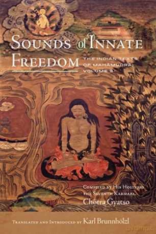 Sounds Of Innate Freedom - Karl Brunnh Lzl [KSIĄŻKA]