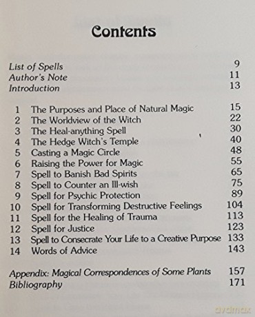 Spellcraft For Hedge Witches - Rae Beth [KSIĄŻKA]