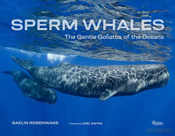 Sperm Whales - Gaelin Rosenwaks [KSIĄŻKA]