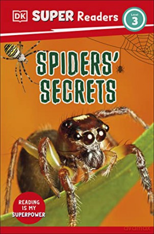 Spiders Secrets Level 3 [KSIĄŻKA]