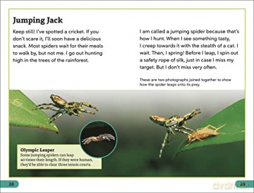 Spiders Secrets Level 3 [KSIĄŻKA]