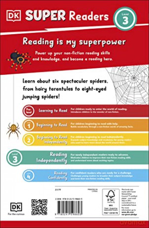 Spiders Secrets Level 3 [KSIĄŻKA]
