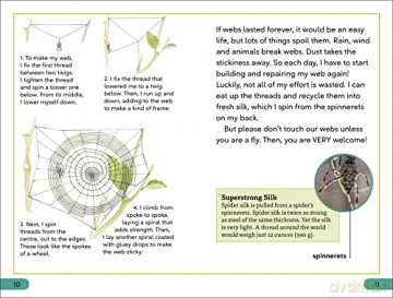 Spiders Secrets Level 3 [KSIĄŻKA]