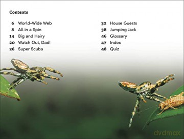 Spiders Secrets Level 3 [KSIĄŻKA]