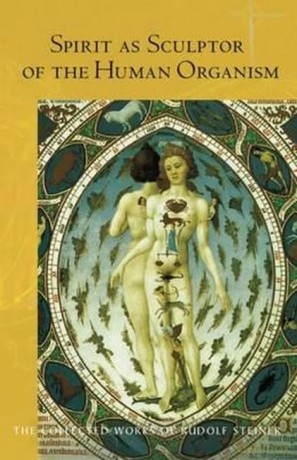 Spirit As Sculptor Of The Human Organism - Rudolf Steiner [KSIĄŻKA]