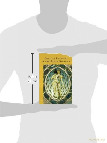 Spirit As Sculptor Of The Human Organism - Rudolf Steiner [KSIĄŻKA]