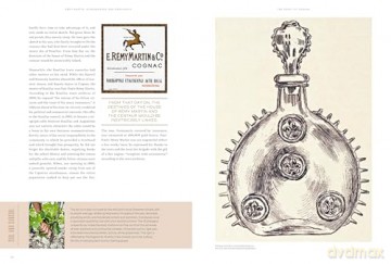Spirit Of Cognac: Remy Martin 300 Years - Thomas Laurenceau [KSIĄŻKA]