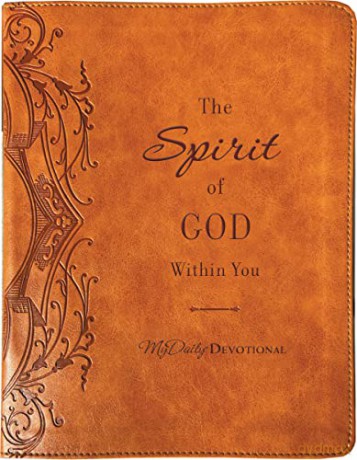 Spirit Of God Within You - Johnny Hunt [KSIĄŻKA]
