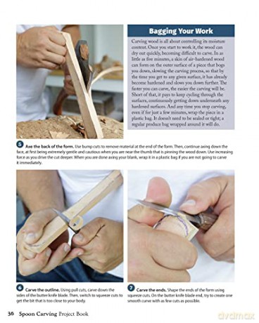 Spoon Carving Project Book - Emmet Van Driesche [KSIĄŻKA]