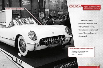 Sports Cars - Matt Doeden [KSIĄŻKA]