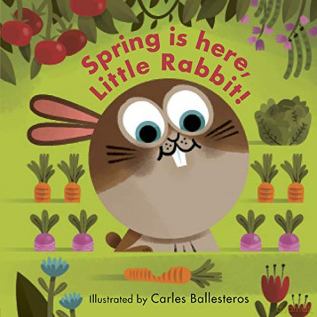 Spring Is Here Little Rabbit - Matthew Morgan [KSIĄŻKA]