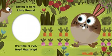 Spring Is Here Little Rabbit - Matthew Morgan [KSIĄŻKA]