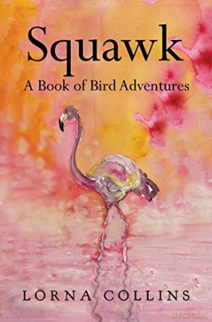 Squawk A Book Of Bird Adventures - Lorna Collins [KSIĄŻKA]