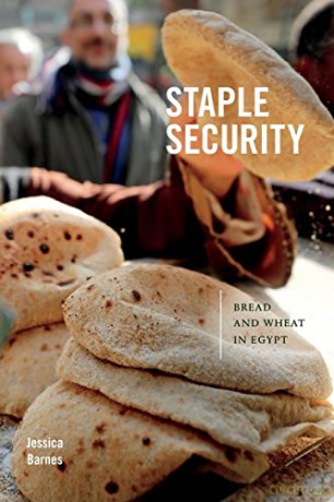 Staple Security - Jessica Barnes [KSIĄŻKA]