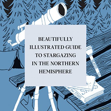Stargazing - Swapna Krishna [KSIĄŻKA]