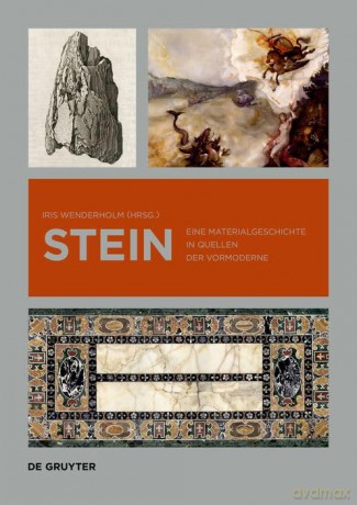 Stein - Iris Wenderholm [KSIĄŻKA]