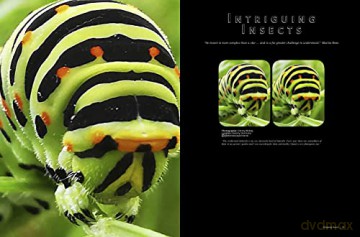 Stereoscopy Is Good For You Life In 3d - Brian (Ed) May [KSIĄŻKA]