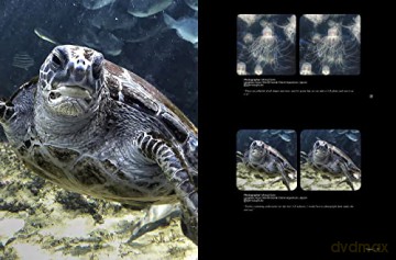 Stereoscopy Is Good For You Life In 3d - Brian (Ed) May [KSIĄŻKA]