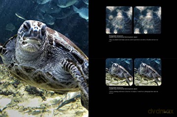 Stereoscopy Is Good For You Life In 3d - Brian (Ed) May [KSIĄŻKA]