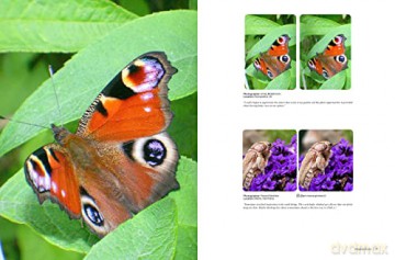 Stereoscopy Is Good For You Life In 3d - Brian (Ed) May [KSIĄŻKA]