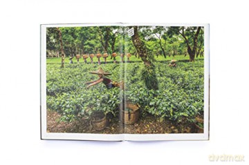 Steve Mccurry In Search Of Elsewhere - Steven Mccurry [KSIĄŻKA]