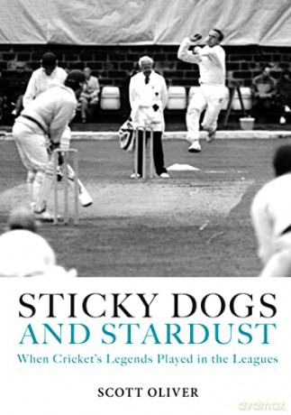 Sticky Dogs And Stardust - Oliver Scott [KSIĄŻKA]