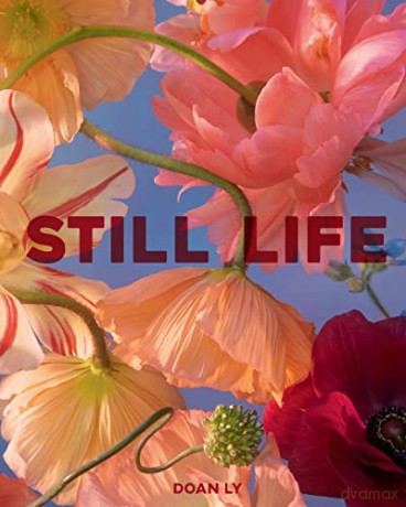 Still Life - Doan Ly [KSIĄŻKA]