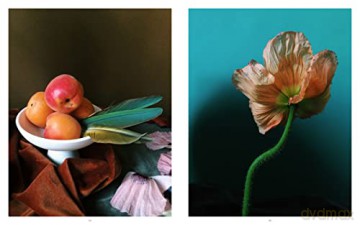 Still Life - Doan Ly [KSIĄŻKA]