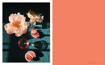 Still Life - Doan Ly [KSIĄŻKA]