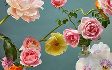 Still Life - Doan Ly [KSIĄŻKA]