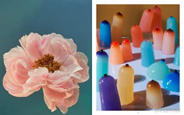 Still Life - Doan Ly [KSIĄŻKA]