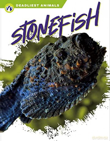 Stonefish - Golriz Golkar [KSIĄŻKA]