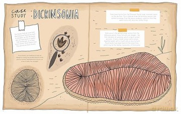 Stones And Bones Fossils And The Stori - Rob Wilsher [KSIĄŻKA]