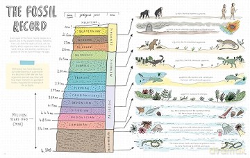 Stones And Bones Fossils And The Stori - Rob Wilsher [KSIĄŻKA]