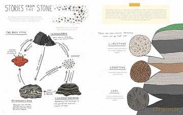 Stones And Bones Fossils And The Stori - Rob Wilsher [KSIĄŻKA]