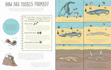 Stones And Bones Fossils And The Stori - Rob Wilsher [KSIĄŻKA]