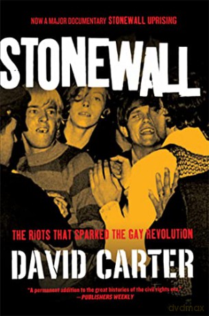 Stonewall - David Carter [KSIĄŻKA]